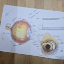 온누리 종합 동물병원 이미지