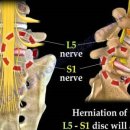 메디컬조의원 이미지