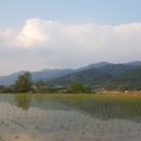 우리문화 맥 협동조합
