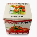 토마토어린이집 | 방울토마토 키우기 세트 유치원 원예 활동 및 가정 학습용 후기