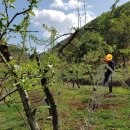 눈비산마을 공동체 농장 이미지