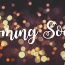 민영 태양광발전소 이미지