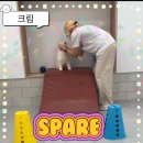 바우스쿨 이미지