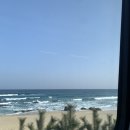 팔경하우스 | 예상밖의 즐거움이 가득했던 국내여행지, 울진 겨울 여행기 (feat. 뚜벅이 커플 1박 2일 여행코스)