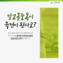 수원-0873 네이버블로그