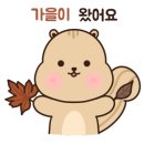 초콜릿 PC방 이미지