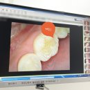 월드치과의원 이미지