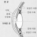 씨유안경콘택트 이미지