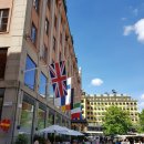 토리에트 이미지