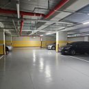 담꾹 안양중앙시장점 | 안양 안경점 으뜸플러스안경 안양중앙시장점 솔직후기