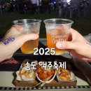 4공단로1L-31 | 2025 송도맥주축제 라인업 주차 외부음식 다녀온 후기