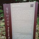 월평5호 이미지