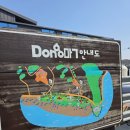 동막제2경로당 | 서울근교 봄 나들이 가볼만한곳 강화도 동막해변, 스틸커피 후기