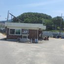 본성1리 티스토리