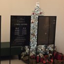 기장군 거리공연 | 부산 기장 정관 초대형카페 탄티 저녁 방문 후기 눈내리는 시간 공연일정