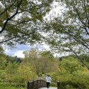 도음산 유아숲체험원 이미지