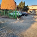 안성내츄럴리조트 오토캠핑장 이미지