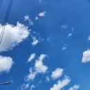 대성수제꿀빵 이미지