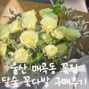 달숲 - 당진시 시청2로 10 | 울산 매곡 꽃집 달숲 무인픽업 꽃다발 내돈내산 후기 엄마도 만족한 꽃선물