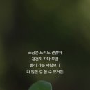 플렉스펜션 이미지