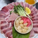 홍대 방어회 맛집 :: 21세기 우리바다수산 평일 저녁 웨이팅 솔직후기