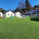 바비 애견샵 이미지