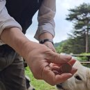 재복농장 이미지