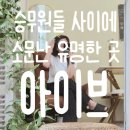 일산 식사동 헤어라인 잔흔커버 반영구 잘하는 곳 아이브 내돈내산 후기