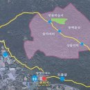 선흘숲 이미지