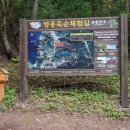 맹종죽순체험길 이미지