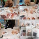 pet07누5492 | ❤강아지수제간식추천!믿고먹일수있는 엘리푸드 댕댕이간식❤