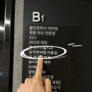 유정헤어갤러리 | 송도미용실 쉬작앤씨엘 송도점 유정 실장님이 해주신 르미네상스쉐나 6단계 트린트먼트 후기