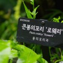 로웨
