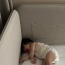 안델센 어린이집 | 침대 고르는 방법 / 가성비 아기침대 추천 - 보니애가구 코니엘 데이베드 아기침대 저상형 내돈내산 후기