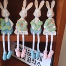 별이쏟아지는미디어카페 이미지
