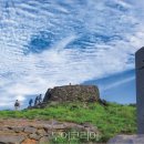 태백태권도 이미지