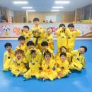이서태권도장 네이버블로그