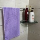 아름애견 이미지