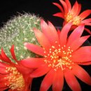 아름다운 당구클럽 이미지