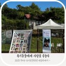 (신규)귀여운 펫자수 | 용인 테일45 애견운동장 2025 펫자수 유기동물 후원전시&amp;바자회 후기