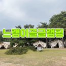 토끼재길 | 광양 느랭이골 글램핑 다녀온 후기 : 자연이 이쁜 곳