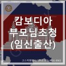 고스락행정사사무소 이미지