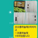 Since1999(동방) 부산전단지배포 27년의. 전통과 전단지배포에관한 여러가지 노~하우를 겸비한 부산양산전단지배포전문(동방)입니다 이미지