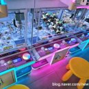 레인보우 뽑기샵 이미지