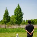 BG독케어센터 이미지