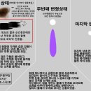 오늘은 제가 처음 목격한 지 4년 째군요... 그래서 그 때 목격담을 다시 올렸습니다... 이미지