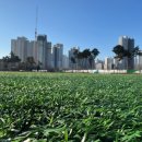 운정체육공원 축구장 이미지