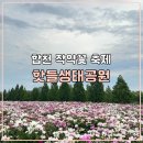 정양농장 | 5월 꽃축제 합천 핫들생태공원 작약축제