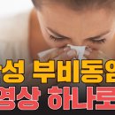 김대우이비인후과 비온뒤
