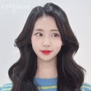 디엘헤어 이미지